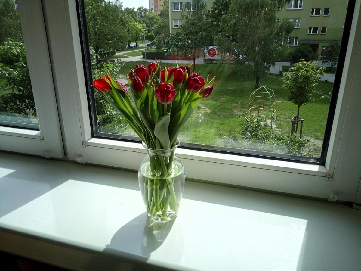 Apartament UŚMIECH Płock Zewnętrze zdjęcie